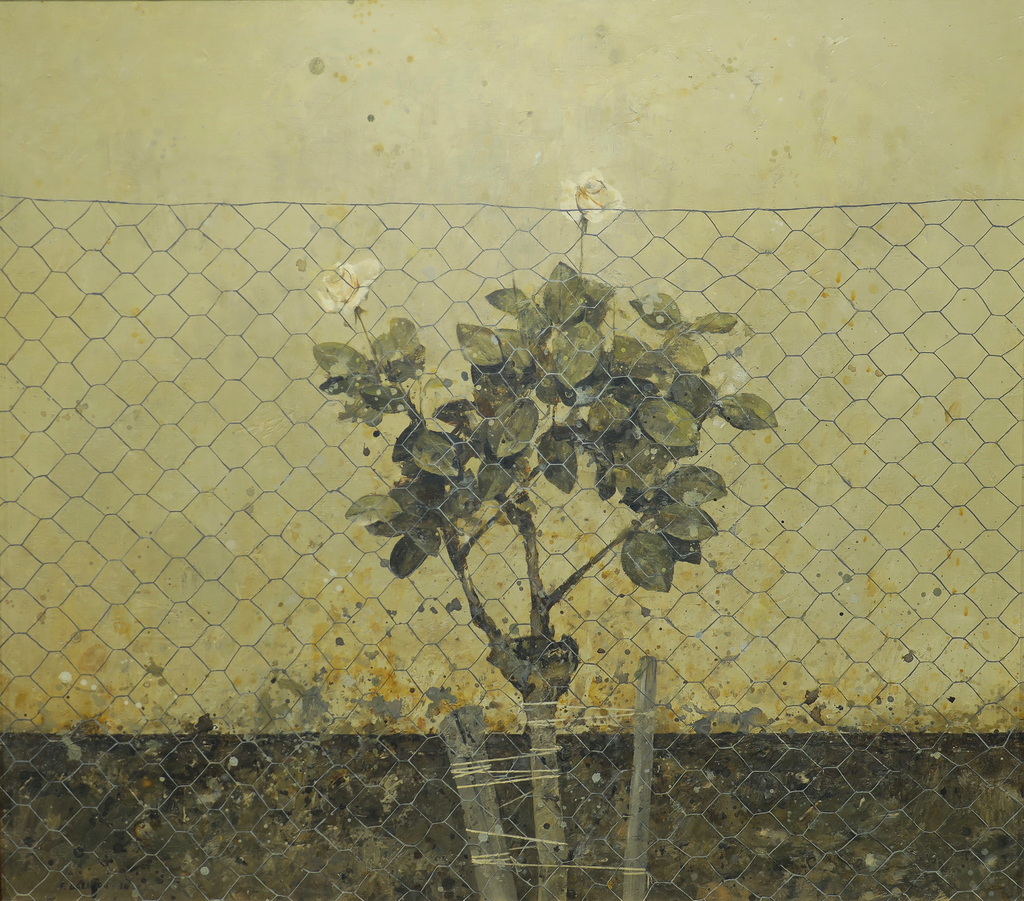 Subasta de Otoño Martes 15 de Octubre 2024 a las 17:30 horas